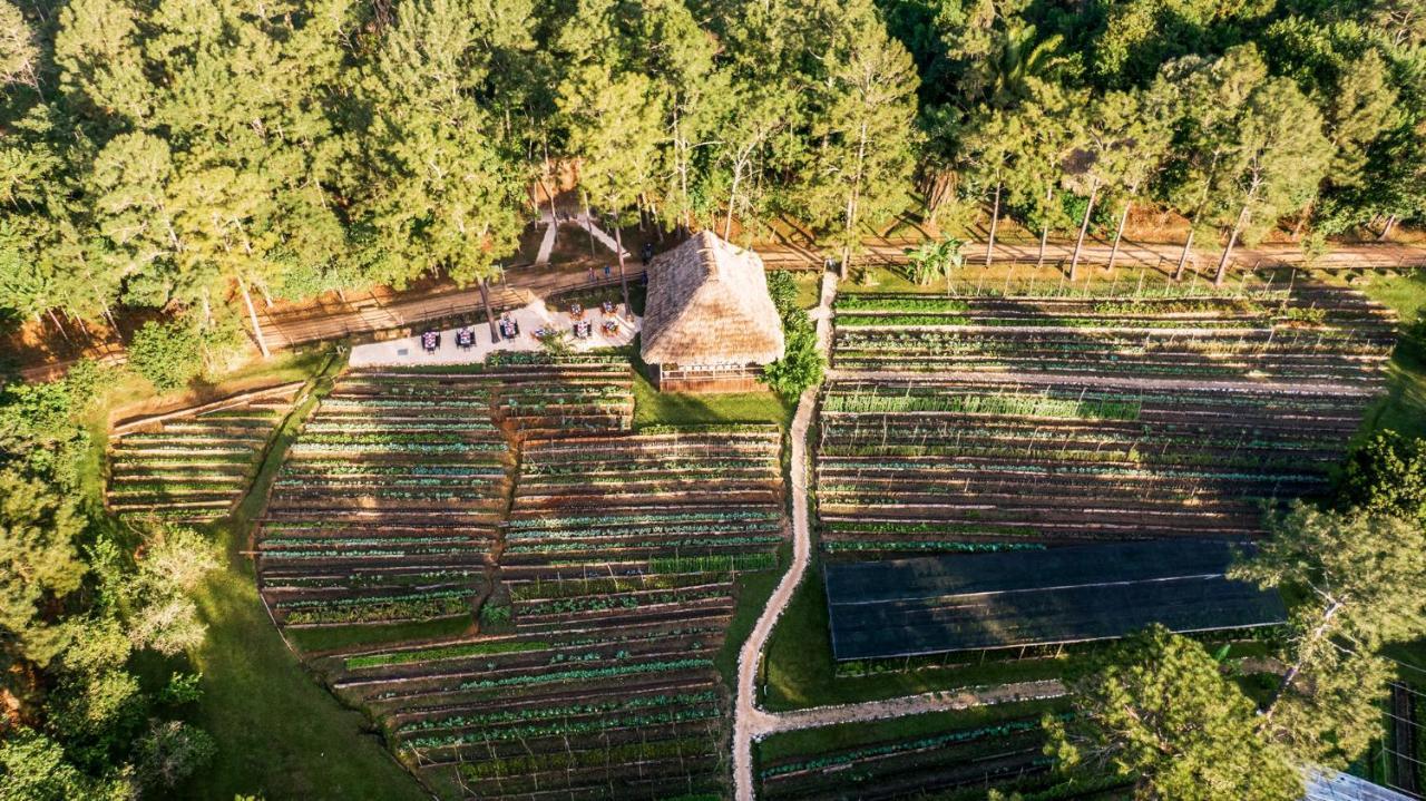Blancaneaux Lodge By Francis Ford Coppola San Ignacio Exterior foto
